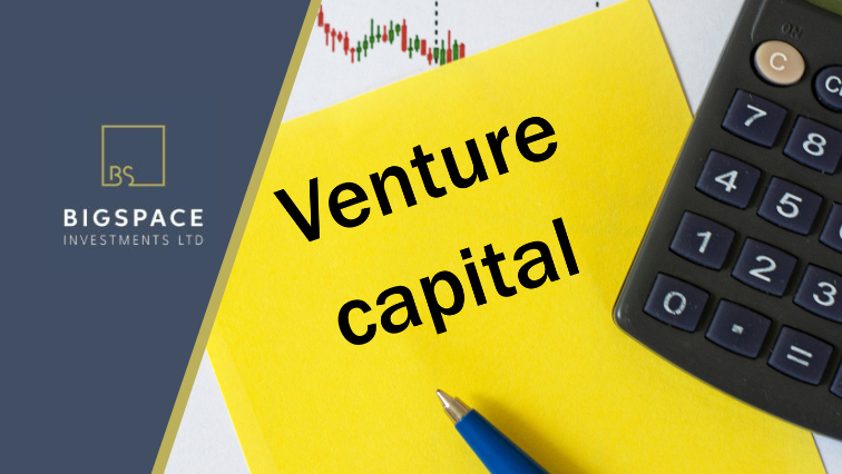 The Value-Add of Early-Stage VC Firms